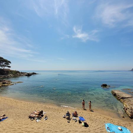 Playa Canadell Mar P Primera Linea De Mar Con Terraza 卡莱利亚德帕拉弗鲁赫尔 外观 照片